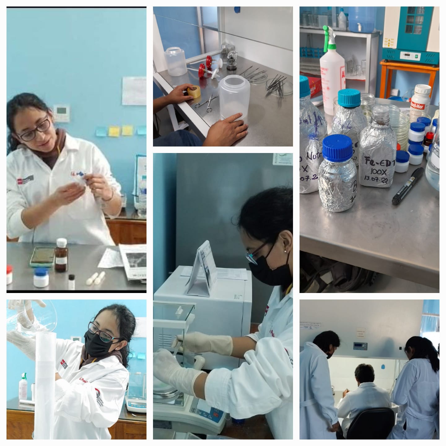 **Capacitación en técnicas de biotecnología**